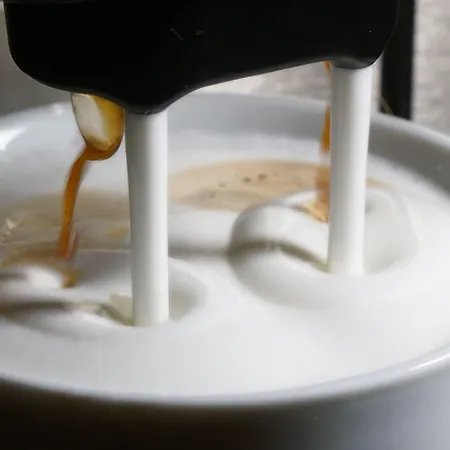 Hotell Fuxxbau Fischerbach