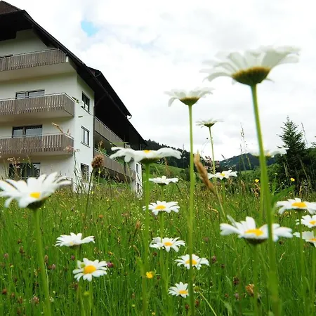 Fuxxbau 3* Fischerbach